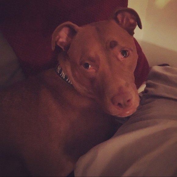 Meet your Posher, Jstarr - Picture 4 of 16